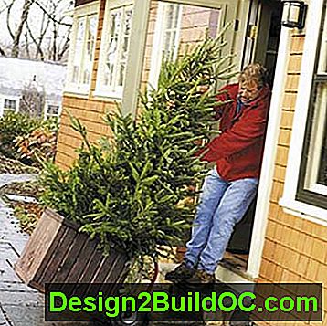 Čovjek vuče kutija božićnog drvca kroz vrata u kuću