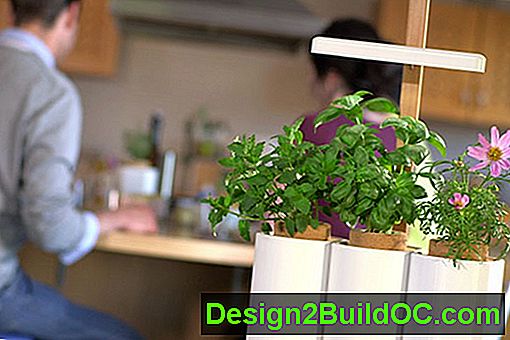 Kit de jardinería lilo con plantas que crecen en el mostrador de la cocina con dos personas sentadas con sus espaldas a la cámara contra el mostrador en el fondo
