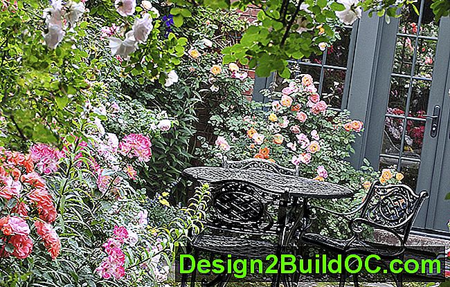 koča vrt z vrtnicami, teraso s teraso za jedilnico in ograjo, pokrita z vrtnicami po tekmovanju za preoblikovanje bralcev 2013