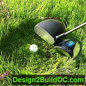 nizozemski trimmer, oblikovan v obliki golfa, od najudamnejših dvoriščnih in vrtnih izdelkov