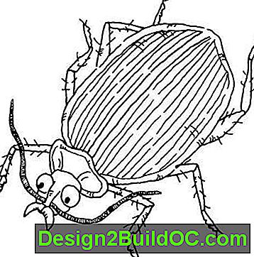 Тунелите на бръмбарите правят страхотен дизайн на триене.