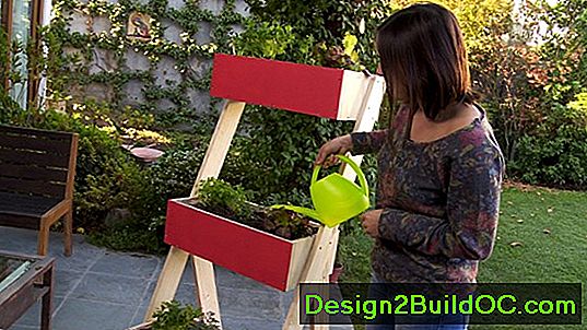 Cómo Construir Un Terrario - Mejoras para el hogar - 20242024.MarMar.ThuThu