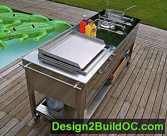 Come Funziona L'Accendino In Una Griglia Per Barbecue? - Elettrodomestici - 20242024.MarMar.ThuThu